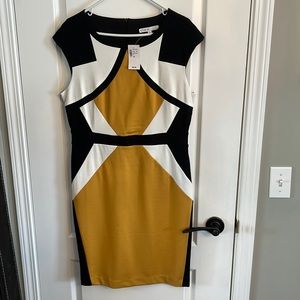 BNWT Cleo dress with flattering design